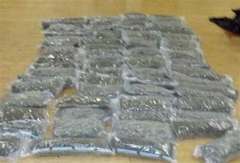 72 pounds of pot seized in i 5 stop near wilsonville new york man arrested