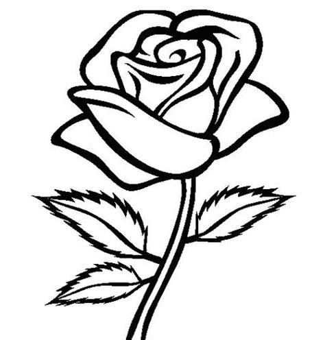 Semua gambar hitam putih tersedia gratis atau free untuk didownload boleh digunakan untuk keperluan pribadi. Gambar Bunga Mawar Hitam Putih | Harian Nusantara