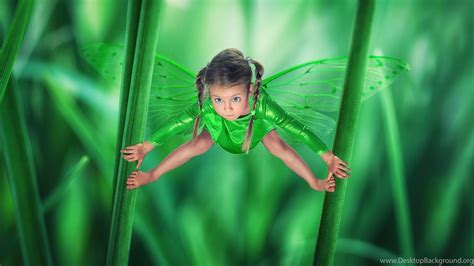 Green Fairy Wallpapers Top Free Green Fairy Backgrounds Wallpaperaccess