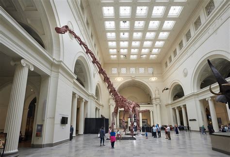 The field museum (1400 s taxis are an option from both airports and will cost over $40 (excluding tips) from o'hare and $30. 5 Chicago museum sleepovers for knowledge-hungry kids ...