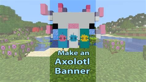 Axolotl Banner Minecraft Gameplayvideo The Player Game