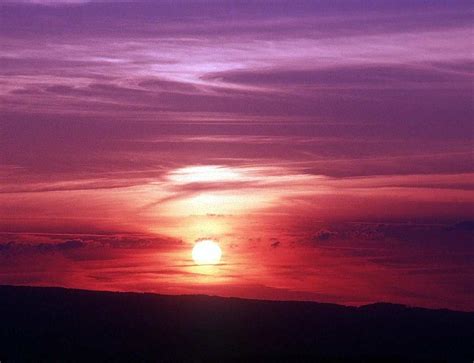 Pink And Purple Sunset Background Image Wallpaper Or