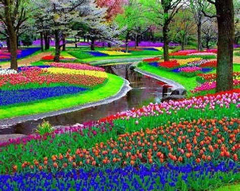Keindahan Warna Warni Di Taman Bunga Relaks Minda