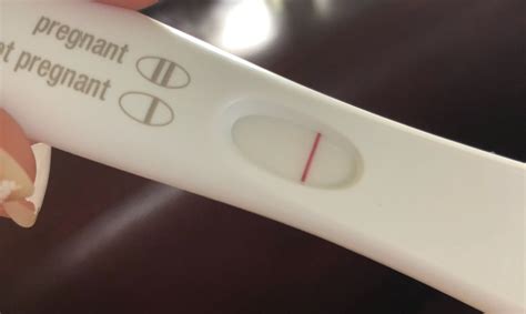 2 Weeks After Implantation Bleeding Negative Pregnancy Test Pregnancy