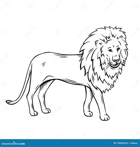 Outline Lion Icon Stock Vector Illustration Of Emblem 134524231