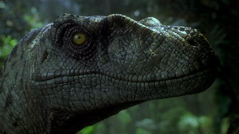 The Lost World Jurassic Park 1997 Backdrops — The Movie Database Tmdb