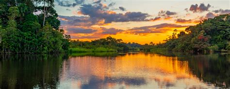 10 Motivos Para Visitar Manaus Y La Selva Amazónica Grupo Viacapi