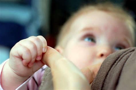 El Amamantamiento Promueve Un Mejor Desarrollo Cerebral En El Beb