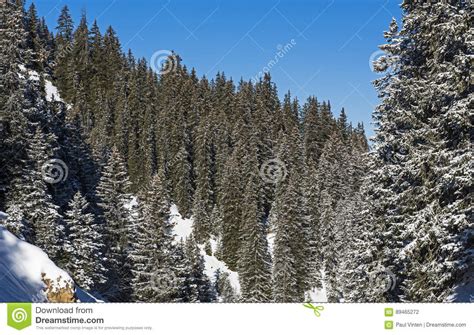 Panoramic View Down An Alpine Mountain Valley Stock Photo Image Of