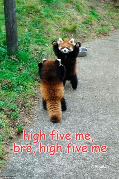 High Five Me Bro High Five Me With Images Baby