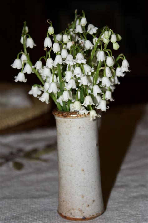 Lily Of The Valley White Flowers In Vase Picture Free