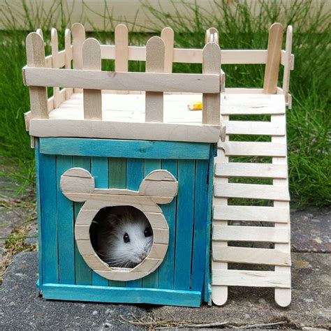 Pin By Rattana Modwattana On Diy Hamster House Hamster