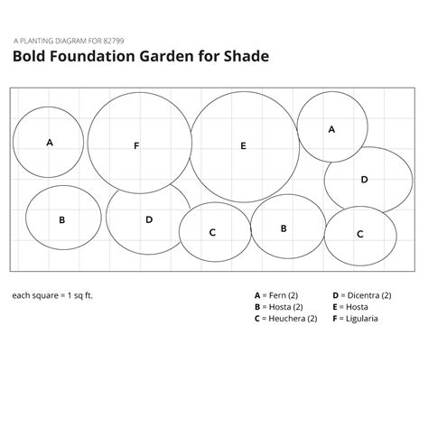 Bold Foundation Garden For Shade White Flower Farm