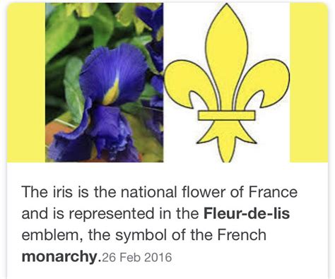 France National Flower What Is The National Emblem Of France