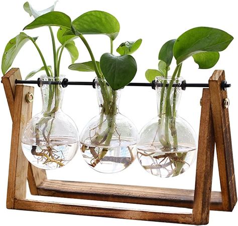 Huabei Plant Terrarium With Wooden Stand Air Planter Bulb Glass Vase
