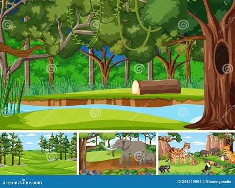 Different Forest Scenes With Wild Animals Stock Vector Illustration