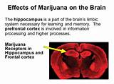 Pictures of Marijuana Memory Effects