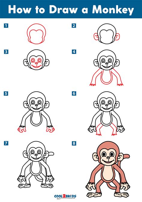 How To Draw A Monkey Cool2bkids