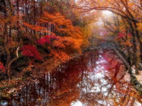 River Beautiful Autumn Forest Wide Wallpaper 551069
