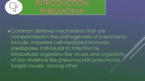 Pathology Of Bacterial Pneumonia Youtube