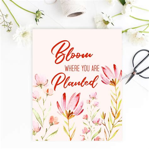 Bloom Where You Are Planted Free Printable Pretty Collected