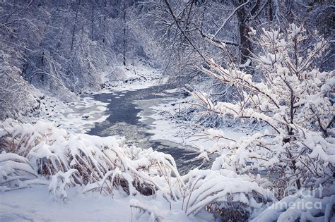 Forest River In Winter Snow Photograph By Elena Elisseeva Fine Art