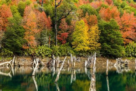 2048x1366 Nature Landscape Lake Fall Colorful Forest Trees Shrubs