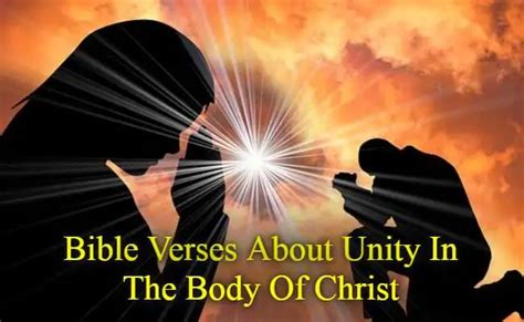 【top】40bible Verses About Unity In The Body Of Christ Kjv Scriptures