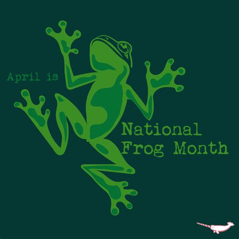 April Is National Frog Month Funny Frogs Cute Frogs Funny Animal