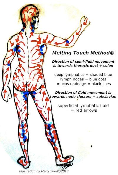 Illustration From Ebook On Lymphatic Detox Massage Shows The Direction