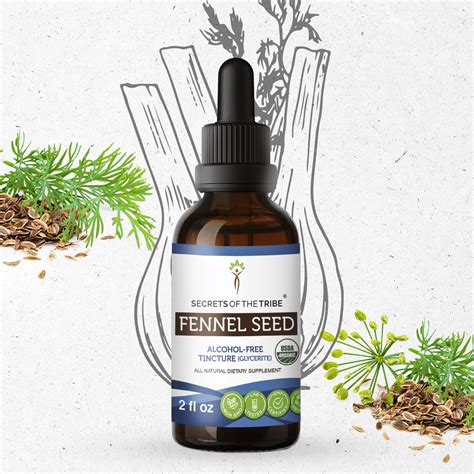 Fennel Seed Tincture Alcohol FREE Extract Organic Fennel Foeniculum