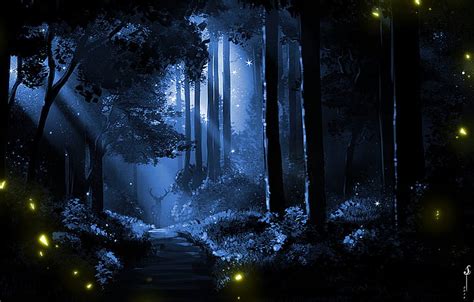 A Dark Forest With Fireflies Glowing In The Trees And On The Path To