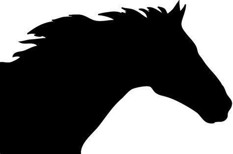 Horse Head Graphic Clipart Best