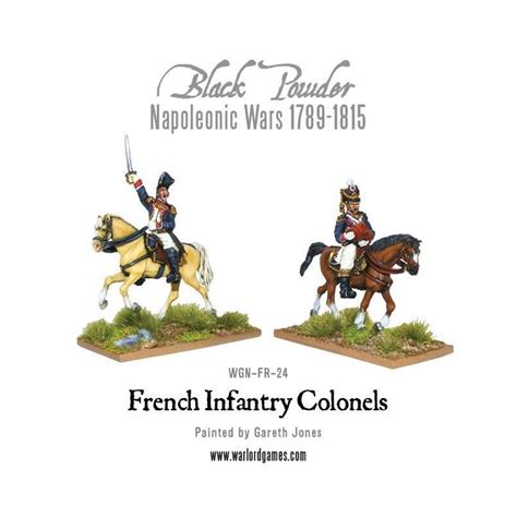Black Powder Mounted Napoleonic French Infantry Colonels
