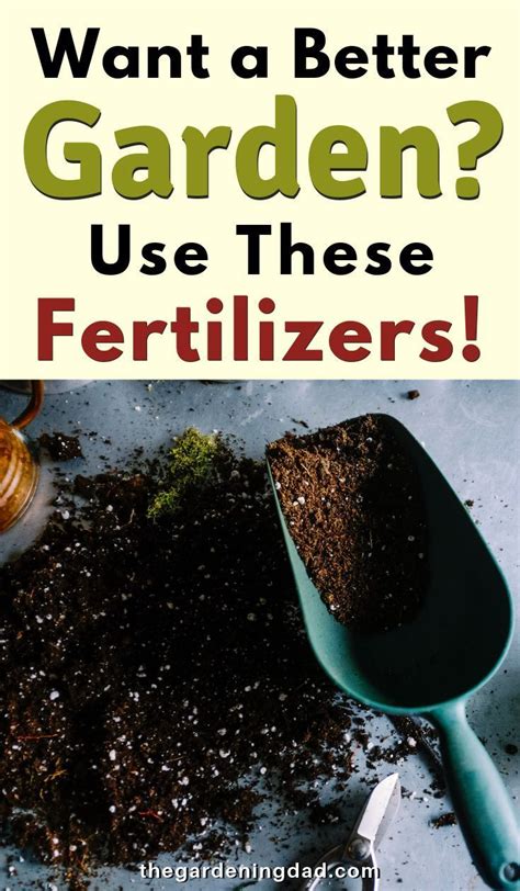 If you are looking for the best garden fertilizer to provide your plants with the nutrients you need, you don't need to rely on homemade plant food. 12 BEST Garden Fertilizers for ALL Plants (2020 | Garden ...