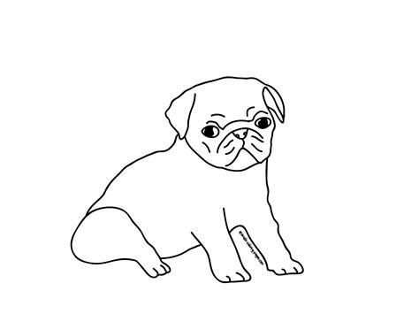 Baby Animal Coloring Pages Of Pug