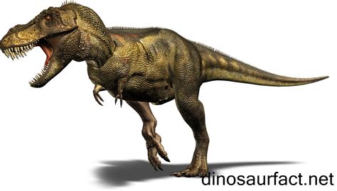 Tyrannosaurus Dinosaur