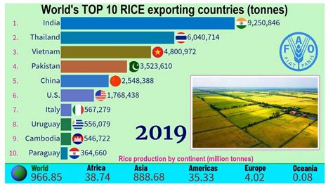 World Largest Rice Exporting Countries Top Channel Youtube