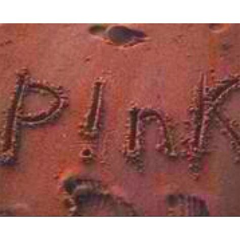 Everybody Loves Vs Pink Pink Summer Vs Pink Pink