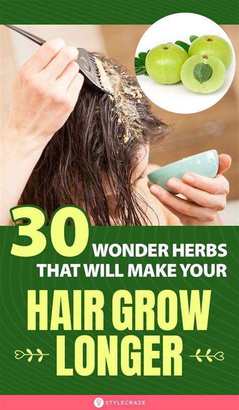 20 Best Herbs That Stimulate Hair Growth Naturally Artofit