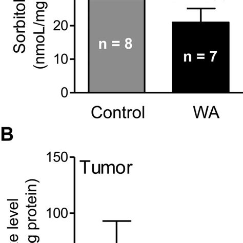 Sorbitol And Lactate Levels In Tumors Of Mouse Mammary Tumor Virus Neu