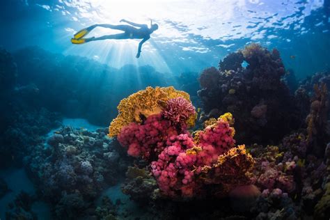 Explore The Oceans Depths At These 7 Incredible Underwater Attractions