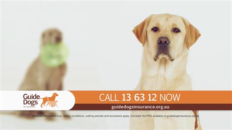 Guide Dogs Pet Insurance TV Commercial - YouTube
