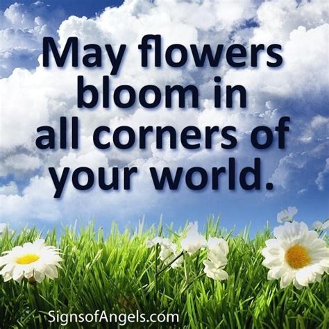 Quotes About May Flowers Quotesgram