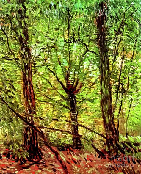Trees And Undergrowth By Vincent Van Gogh Painting By Vincent Van Gogh Fine Art America