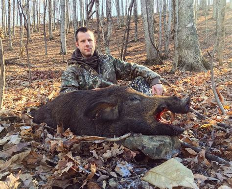 Tennessee Wild Boar Hunting