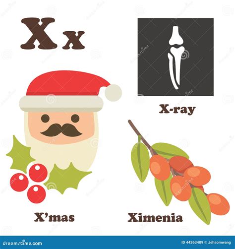 Alphabet X Letter Xmasximeniax Ray Stock Illustration Illustration