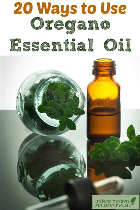 20 Uses For Oregano Essential Oil Essential Oil Uses For A Healthy