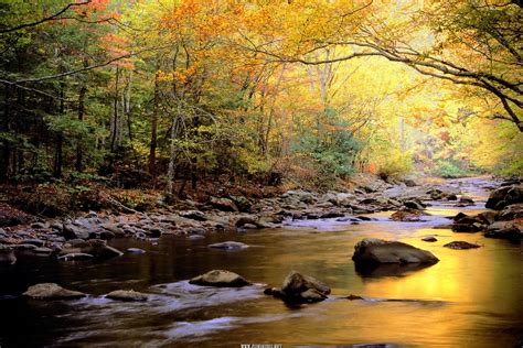 Smokey Mountains Great Smoky Mountains National Park Scenery