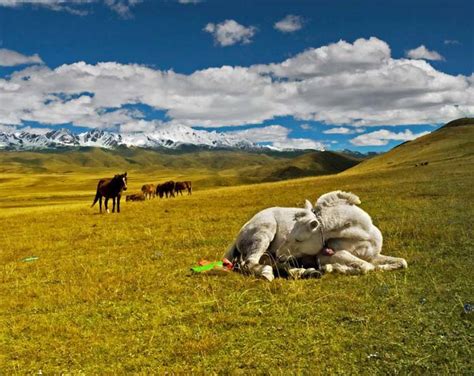 Kangding Attractions Top 10 Things To Do In Kangding